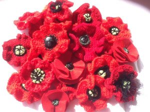 image-1-jpegfayes-poppies